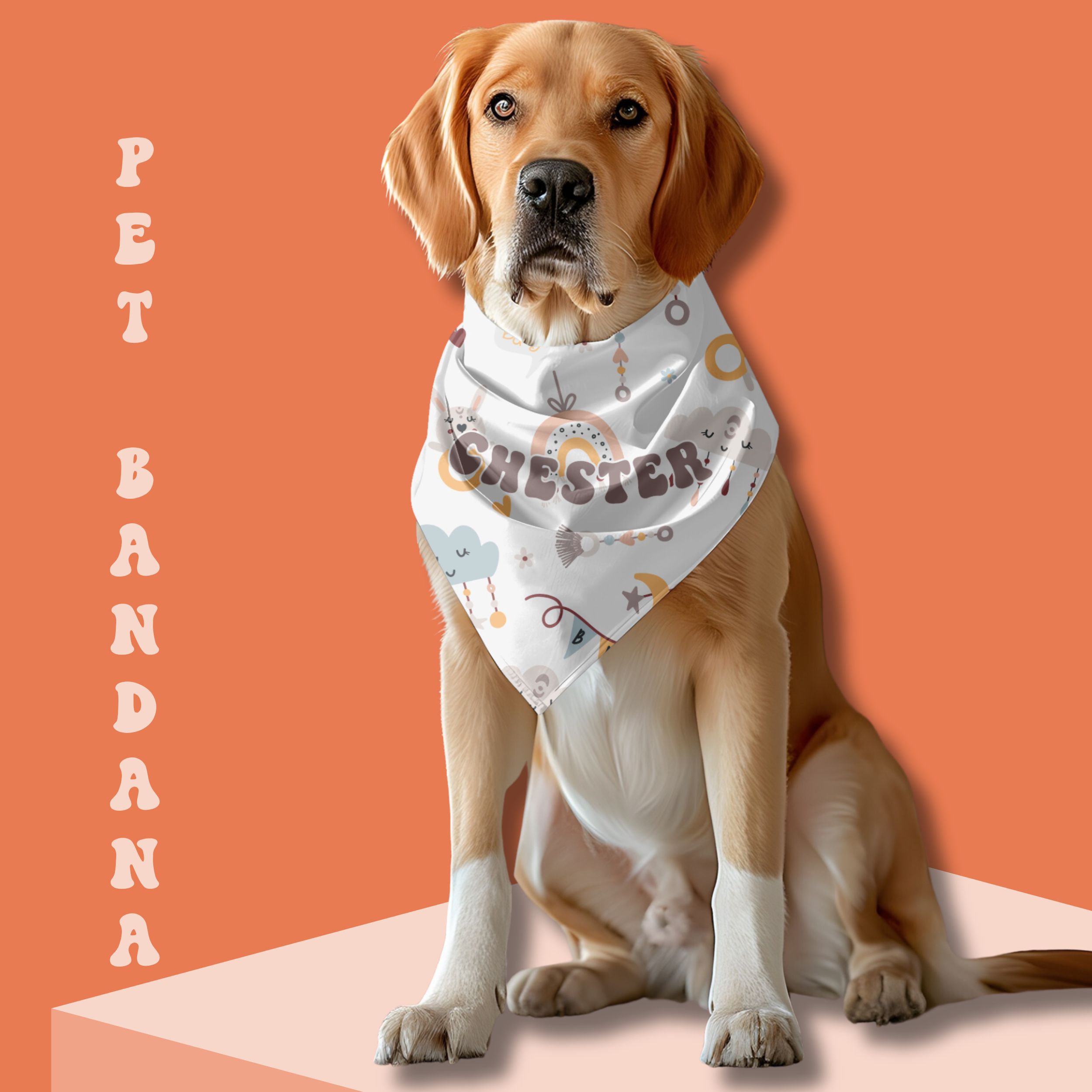 Personalized Pet Bandana Collar - Baby