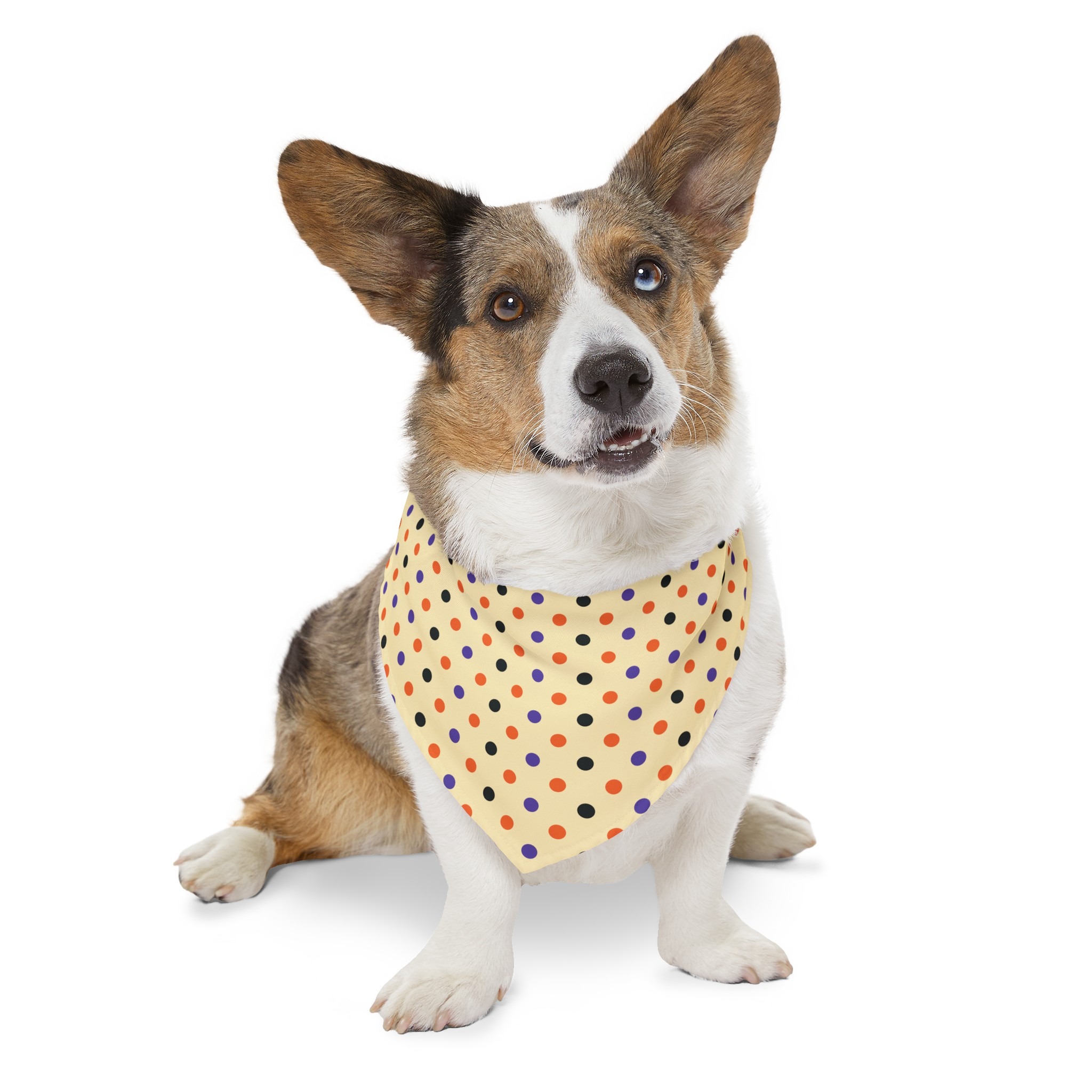 Pet Bandana - Halloween Dots - Image 8