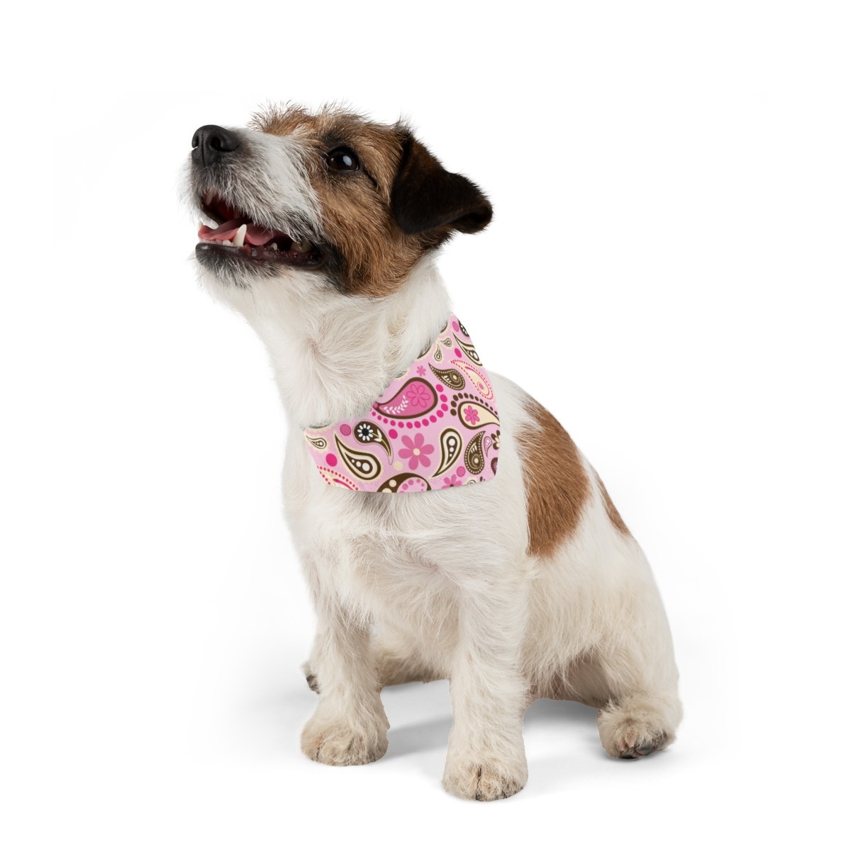 Pet Bandana - Pink Paisley - Image 2