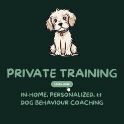 Private Training