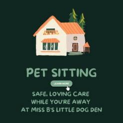 Pet Sitting